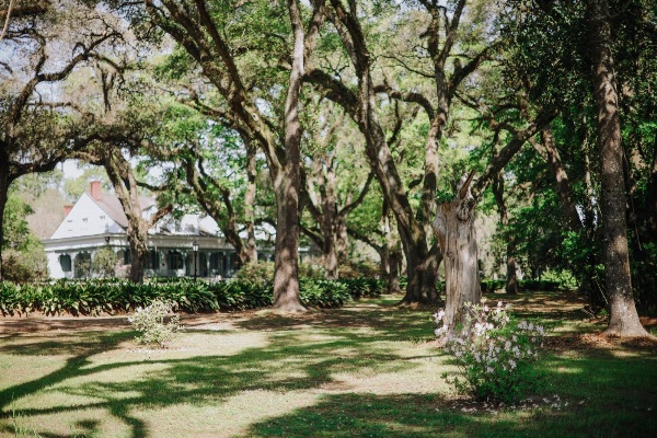 The Myrtles image 5